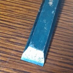 のみ　ノミ　14mm（21cm位）の画像