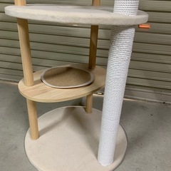 キャットタワー🐱の画像