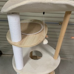 キャットタワー🐱の画像