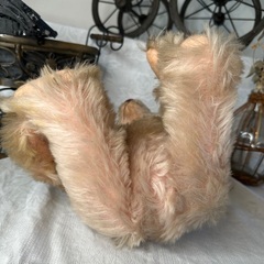 シュタイフ テディローズ 1925 レプリカの画像