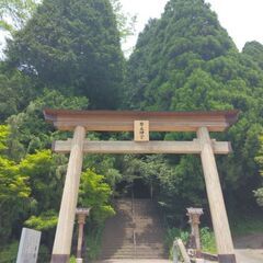 鎌倉の鶴岡八幡宮！
