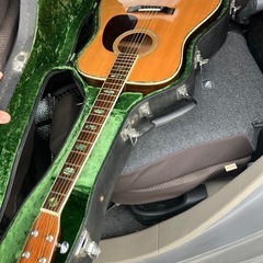 モーリス W-40 アコースティックギターの画像