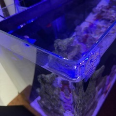海水水槽 フルセット　45×30×40cm 39L の画像