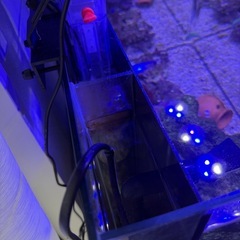 海水水槽 フルセット　45×30×40cm 39L の画像