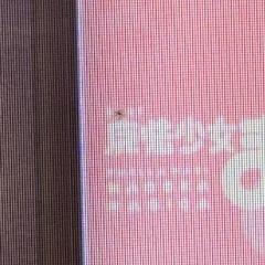 交換可能　千葉県内無料で配達可能　スロット実機初代まどマギ　の画像