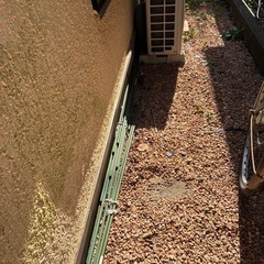 園芸用しちゅ支柱の画像