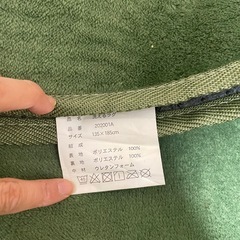 洗えるラグの画像