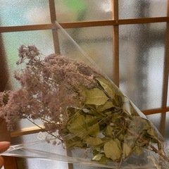 ドライフラワー スモークツリー 枝長めの画像