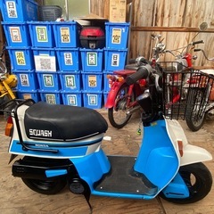 スカッシュ　12v.セル付き　レストア済みの画像