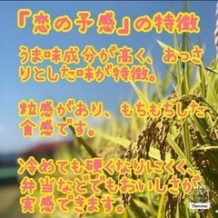 💮新米 『❤️恋の予感』🌾玄米 🍶東広島市産　#01の画像