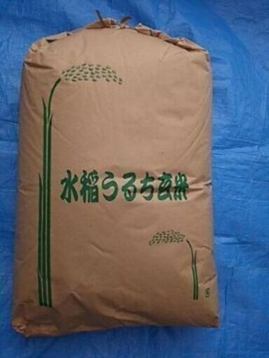 令和７年産  きぬむすめ玄米３０キロ