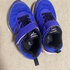 瞬足 16.5EEE 男児スニーカーの画像