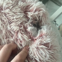 あったかペットベットの画像