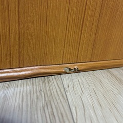 ニッソー水槽台の画像