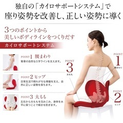 ほぼ新品　背筋矯正の画像