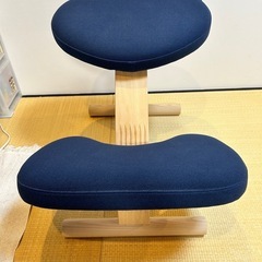 正規品 バランス・イージーの画像