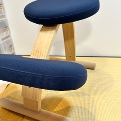 正規品 バランス・イージーの画像