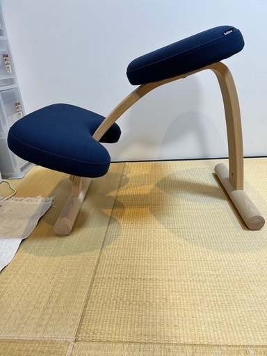 正規品 バランス・イージー