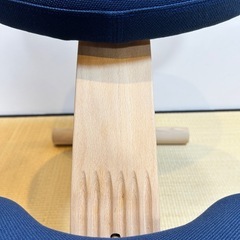 正規品 バランス・イージーの画像