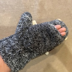 クマちゃんの手袋の画像