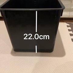 黒色BOX 容器 箱 1個500
円の画像