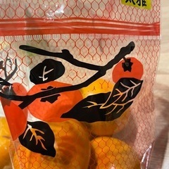 柿　太雅　4個の画像