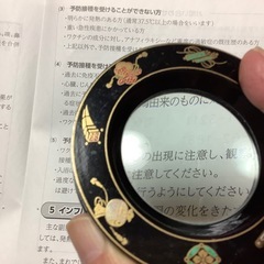 漆芸ルーペ 宝づくし　ルーペ　虫眼鏡　ペーパーウエイト　漆塗り　円形ルーペの画像