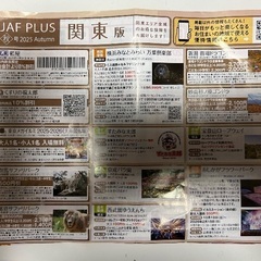 羽毛掛け布団（セミダブルサイズ）＋クーポンの画像