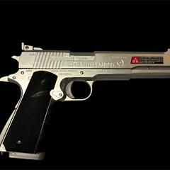 OMEGA 10mm AUTO STAINLESS MOD エアソフトガンの画像