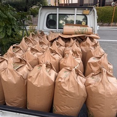 R7年度生産  群馬県北部　新米コシヒカリ　精米済み10キロ　引き取りのみ
の画像