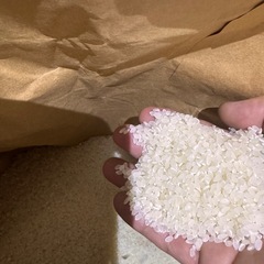 R7年度生産  群馬県北部　新米コシヒカリ　精米済み10キロ　引き取りのみ
の画像