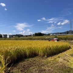 R7年度生産  群馬県北部　新米コシヒカリ　精米済み10キロ　引き取りのみ
の画像