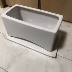 陶器　鉢　室内で🌱の画像