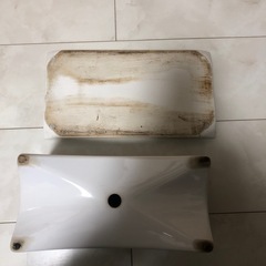 陶器　鉢　室内で🌱の画像