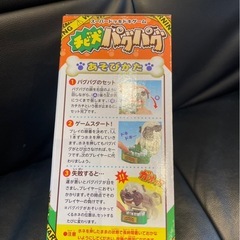 チビ犬パグパグの画像