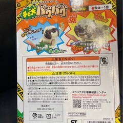 チビ犬パグパグの画像