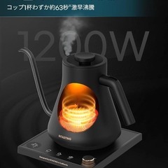 新品　1°C単位の精密温度調節 細口　LED温度表示 0.9L 1200Wの画像