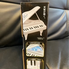 エレクトリックリトルグランドピアノ2種類の画像