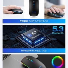 新品マウスの画像