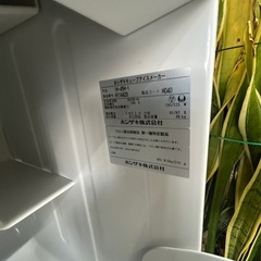 アース万代店　ホシザキ 無地 冷蔵ショーケース / キュービック 庫 約200L■ SSB-70CT2 日本酒 ビール ジョッキ グラス◆厨房 業務用 ガラス扉の画像