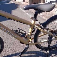 CannondaleF7 CAADの画像