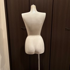 トルソーの画像