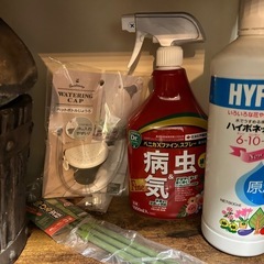 植木鉢、その他色々まとめての画像