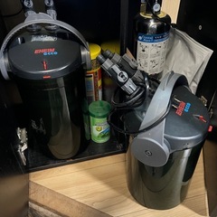 水槽、水草、の画像