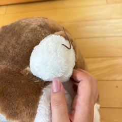 忠犬もちしば あんこ ぬいぐるみの画像