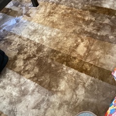 使用済みホットカーペットの画像