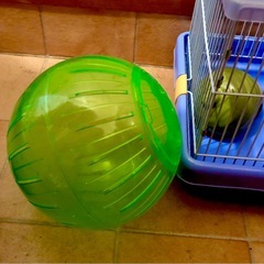 ハムスターケージの画像