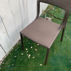 ラタン 家具一色 大サービスの画像