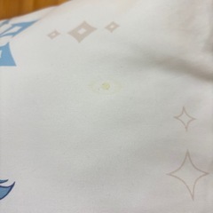 原神 重雲 ロングクッションの画像