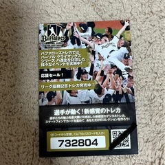 2023 プロ野球 バファローズ チャンピオン トレーディングカードの画像